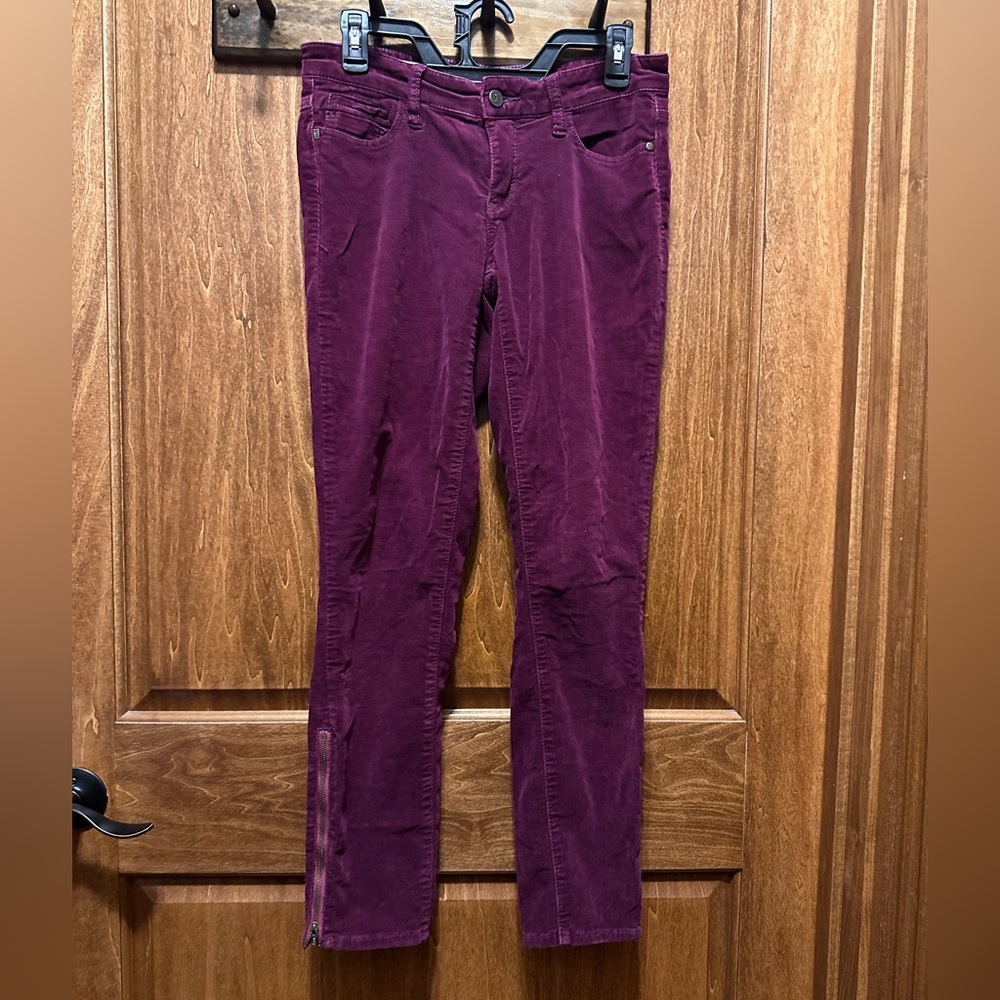 Pilcro and the Letterpress Plum Straight Leg Pants